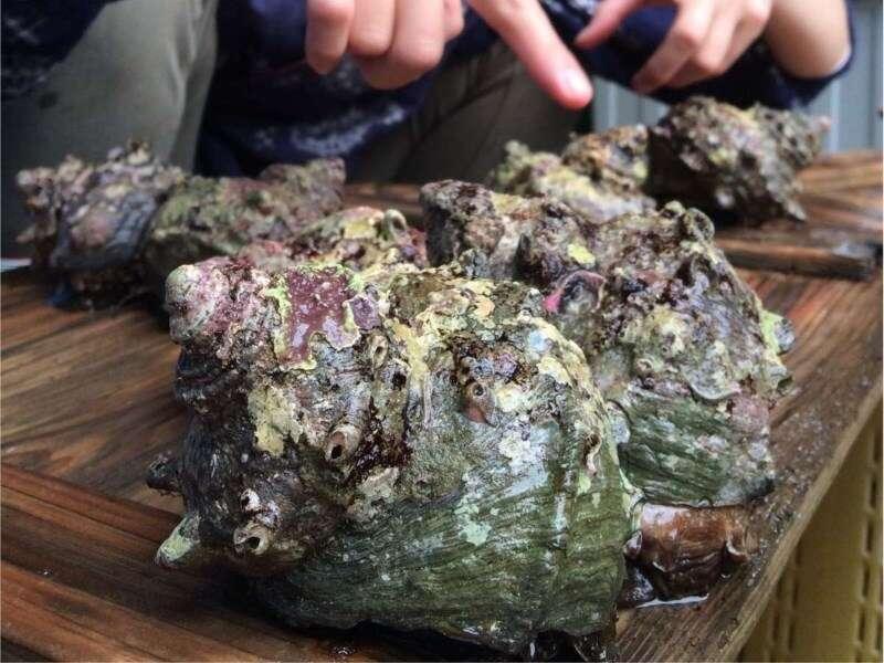 凯格苏酒店 鸟羽 外观 照片